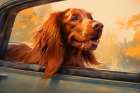 Happy Irish setter dog with head out car window.  (AI Generated) Art Print